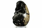 Septarian Dragon Egg Geode - Sparkly Black Crystals #348449-1